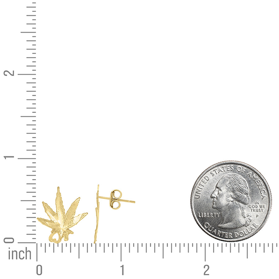 10Kt Gold Earrings