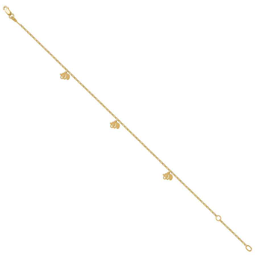 14Kt Gold Anklet