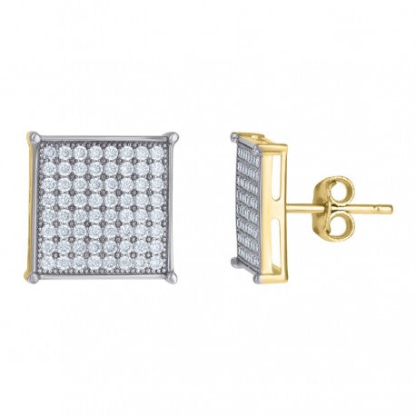 10Kt Gold Earring