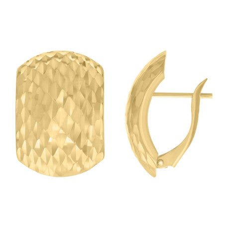 10Kt Gold Earrings