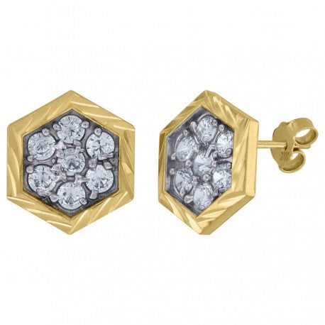 10Kt Gold Earrings
