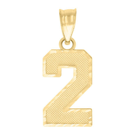 10Kt Gold Number Pendant "2"