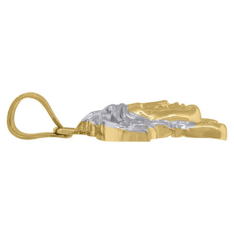 10Kt Gold Pendant