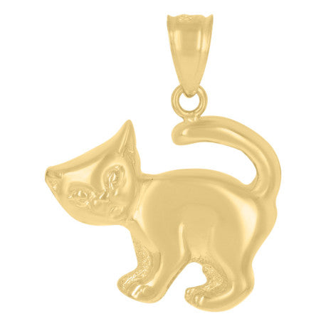 10Kt Gold Pendant