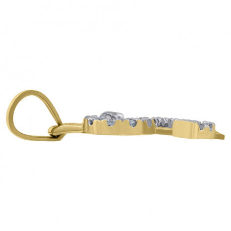 10Kt Gold Pendant