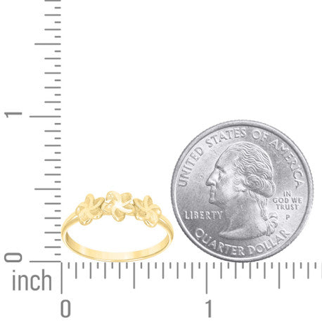 10Kt Gold Ring