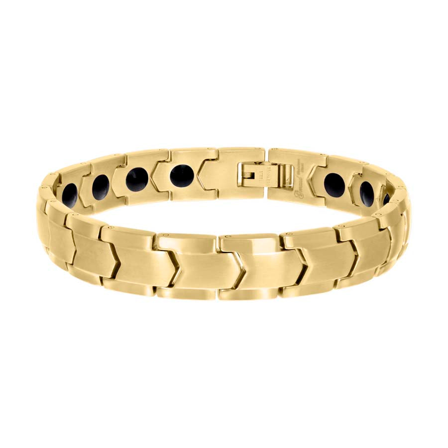Stainless Steel Bracelet 11mm-8"