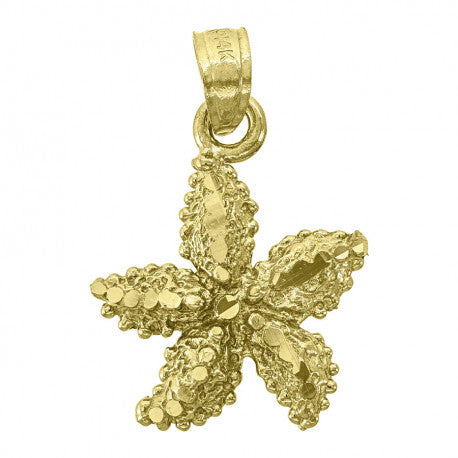14Kt Gold Pendant