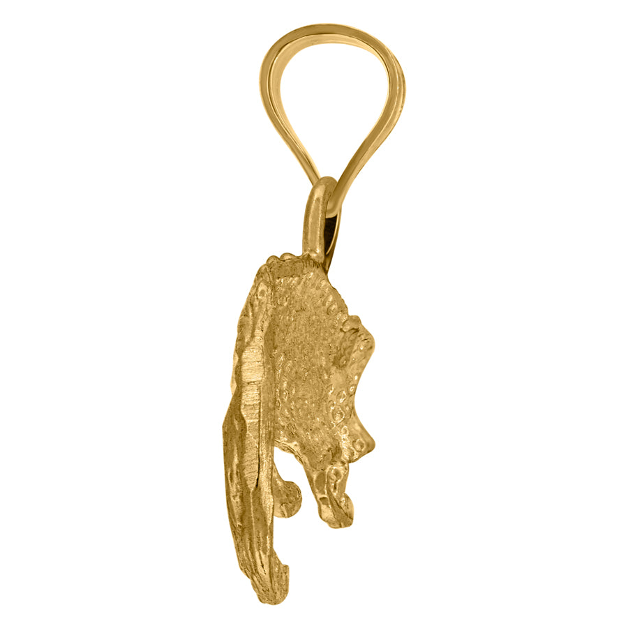 10Kt Gold Pendant
