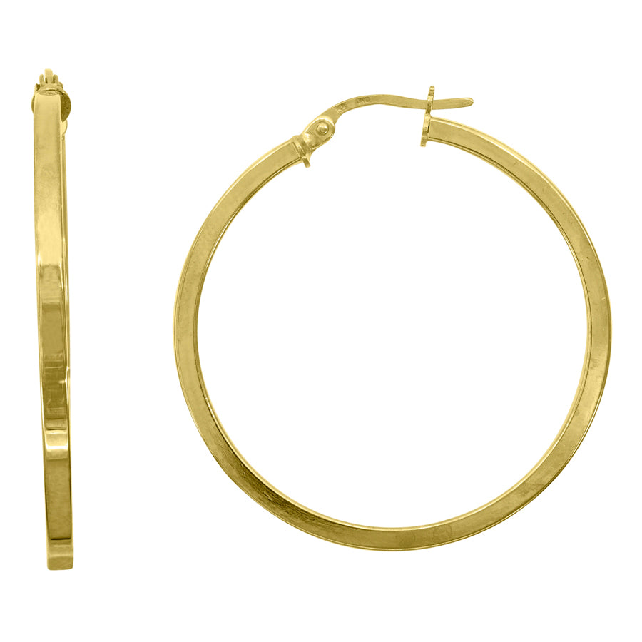 10Kt Gold Hoop Earrings