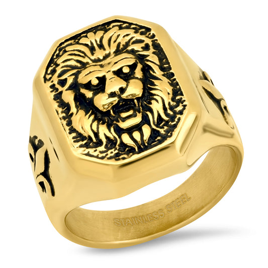Stainless Steel Ring