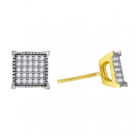 10Kt Gold Earring