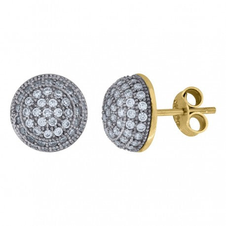 10Kt Gold Earrings