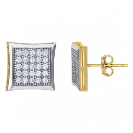 10Kt Gold Earrings
