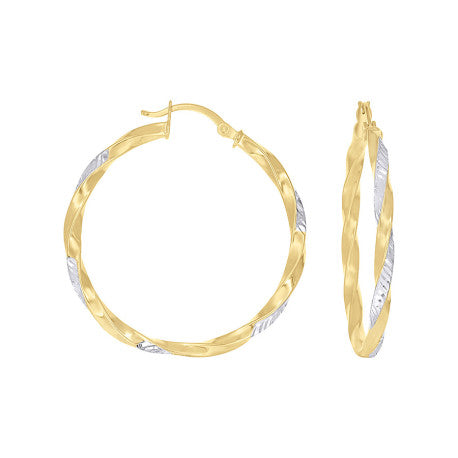 10Kt Gold Earrings