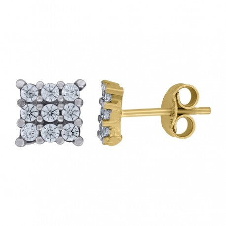 10Kt Gold Earrings