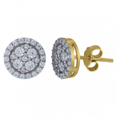 10Kt Gold Earrings
