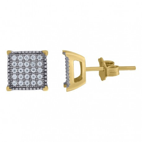 10Kt Gold Earrings