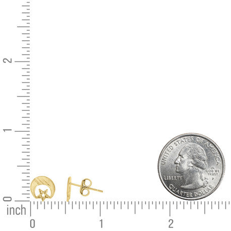 10Kt Gold Earrings