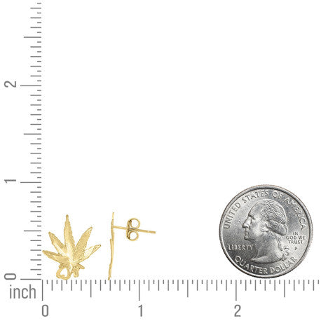 10Kt Gold Earrings