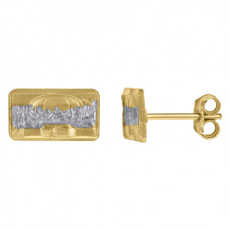 10Kt Gold Earrings