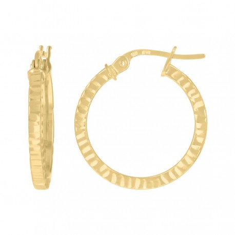 10Kt Gold Hoop Earrings