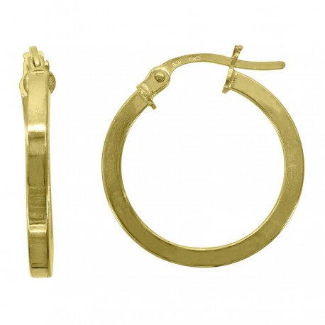 10Kt Gold Hoop Earrings