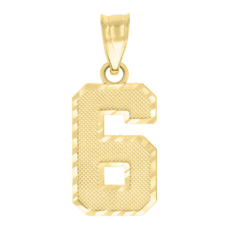 10Kt Gold Number Pendant "6"