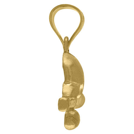 10Kt Gold Pendant