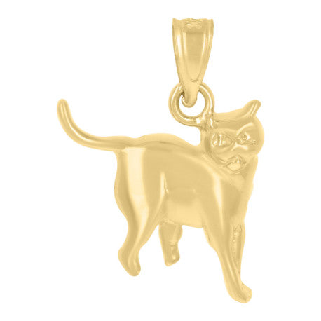 10Kt Gold Pendant