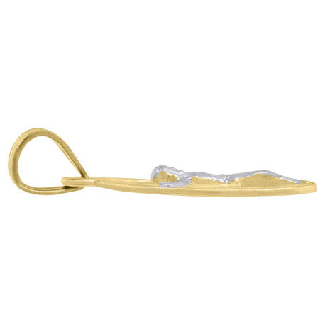 10Kt Gold Pendant