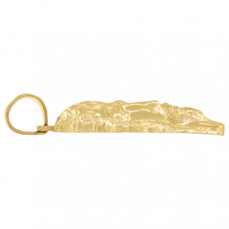 10Kt Gold Pendant