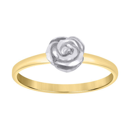 10Kt Gold Ring