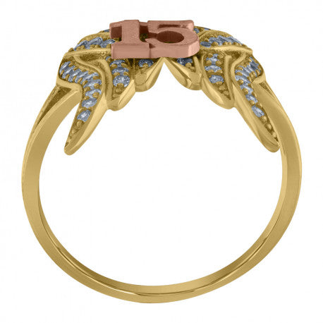 10Kt Gold Ring