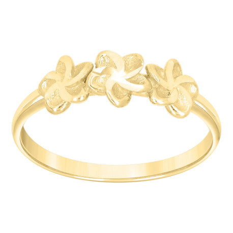 10Kt Gold Ring