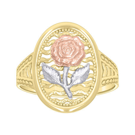 10Kt Gold Ring