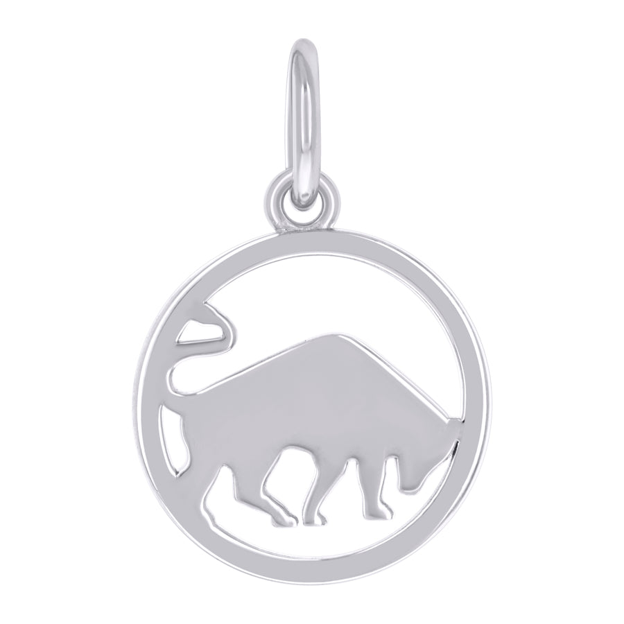 925 Sterling Silver Pendant