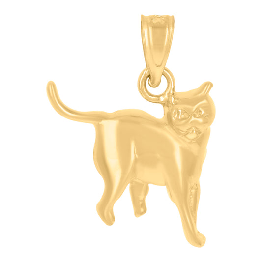 10Kt Gold Pendant