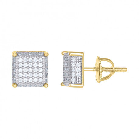 925-Silver Earrings