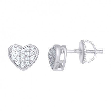 925-Silver Earrings