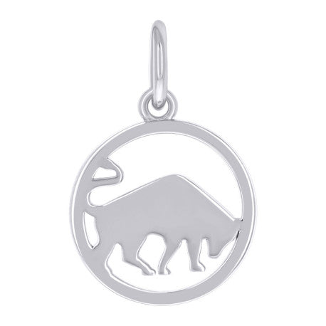 925 Sterling Silver Pendant
